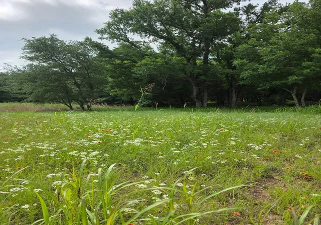 Photo 1 of Land for sale at 8415 Hollandbush Ct, Cleburne, TX 76033 | MLS# 21381111 | Listing updated on 2026-09-18