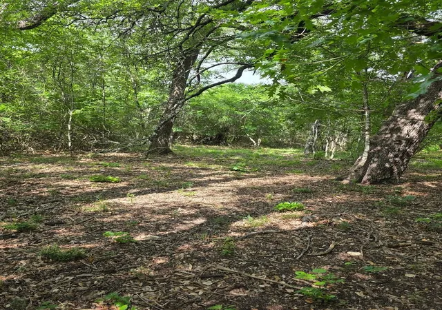 Photo 2 of Land for sale at 8415 Hollandbush Ct, Cleburne, TX 76033 | MLS# 21381111 | Listing updated on 2026-09-18