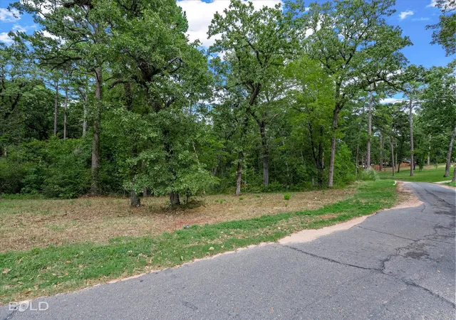 Photo 3 of Land for sale at 0 Buckingham Dr, Shreveport, LA 71107 | MLS# 21375142 | Listing updated on 2026-09-09