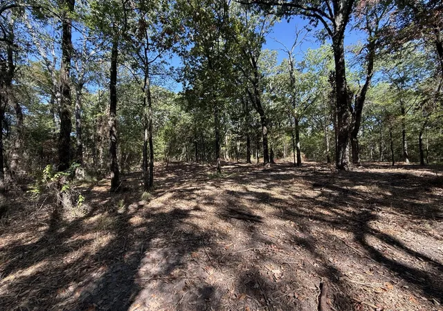 Photo 1 of Land for sale at Lot 2 Wood Crk Dr, Lone Oak, TX 75453 | MLS# 21381373 | Listing updated on 2026-09-11