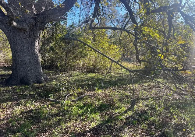 Photo 2 of Land for sale at 0000 Lcr 454, Groesbeck, TX 76642 | MLS# 21381584 | Listing updated on 2026-09-09