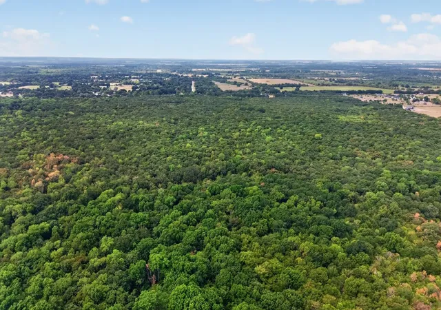 Photo 4 of Land for sale at 0 Fm 1389, Seagoville, TX 75159 | MLS# 21381428 | Listing updated on 2026-09-09