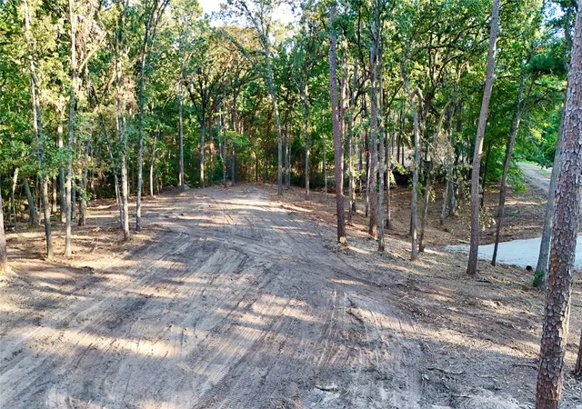 Photo 1 of Sale Pending at Tbd Ermine Ct, Mount Vernon, TX 75457 | MLS# 21381991 | Listing updated on 2026-09-28