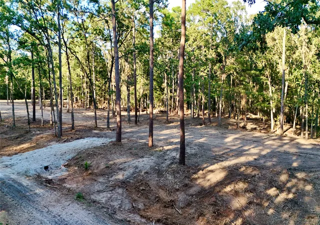 Photo 2 of Sale Pending at Tbd Ermine Ct, Mount Vernon, TX 75457 | MLS# 21381991 | Listing updated on 2026-09-28