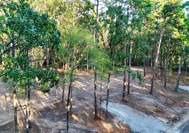 Photo 3 of Sale Pending at Tbd Ermine Ct, Mount Vernon, TX 75457 | MLS# 21381991 | Listing updated on 2026-09-28