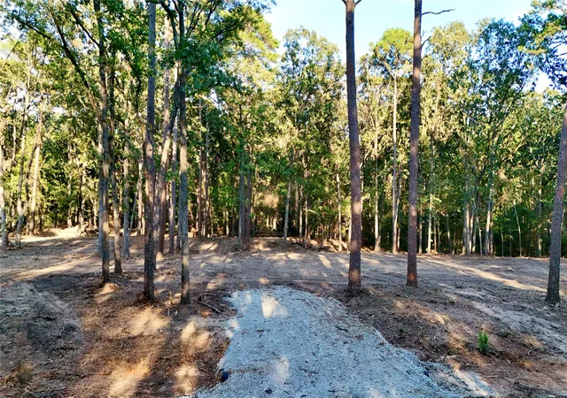 Photo 3 of Sale Pending at Tbd Ermine Ct, Mount Vernon, TX 75457 | MLS# 21381991 | Listing updated on 2026-09-28