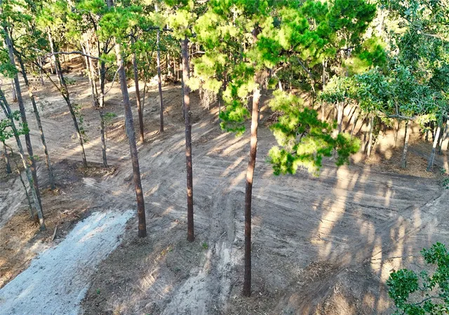 Photo 4 of Sale Pending at Tbd Ermine Ct, Mount Vernon, TX 75457 | MLS# 21381991 | Listing updated on 2026-09-28