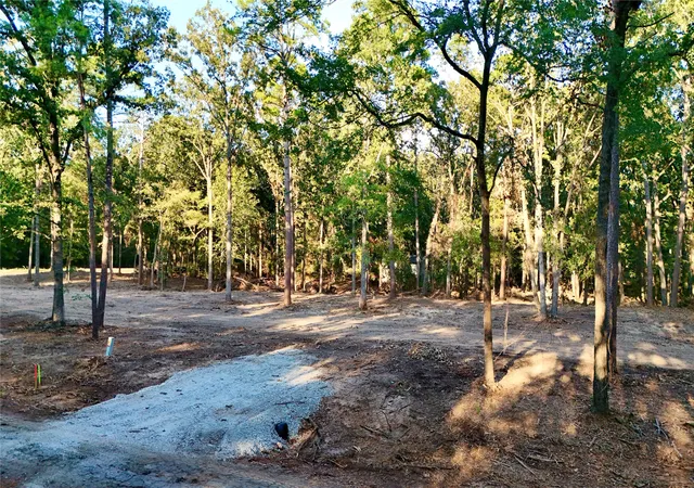 Land for sale at 000 Ermine Ct, Mount Vernon, TX 75457 | MLS# 21382125