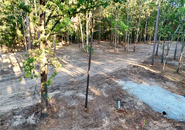 Photo 3 of Land for sale at 000 Ermine Ct, Mount Vernon, TX 75457 | MLS# 21382125 | Listing updated on 2026-09-12