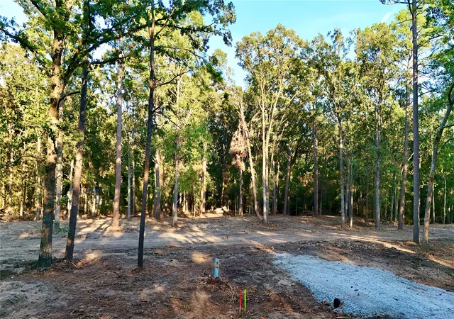 Photo 3 of Land for sale at 000 Ermine Ct, Mount Vernon, TX 75457 | MLS# 21382125 | Listing updated on 2026-09-12