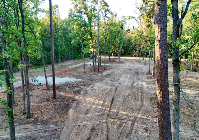 Photo 4 of Land for sale at 000 Ermine Ct, Mount Vernon, TX 75457 | MLS# 21382125 | Listing updated on 2026-09-12