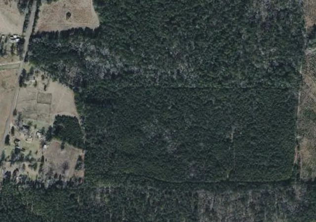 Photo 3 of Land for sale at 0 Pleasant Hl Cemetary, Plain Dealing, LA 71064 | MLS# 21382161 | Listing updated on 2026-09-10