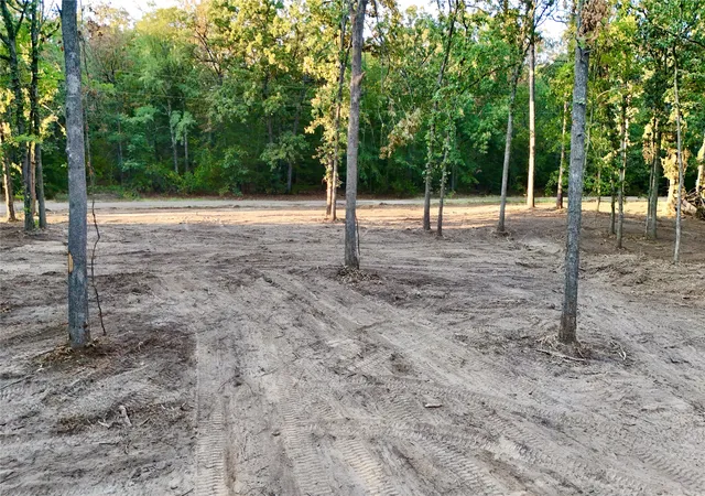 Photo 2 of Land for sale at Tbd Bluebonnet Trl, Mount Vernon, TX 75457 | MLS# 21382190 | Listing updated on 2026-09-12