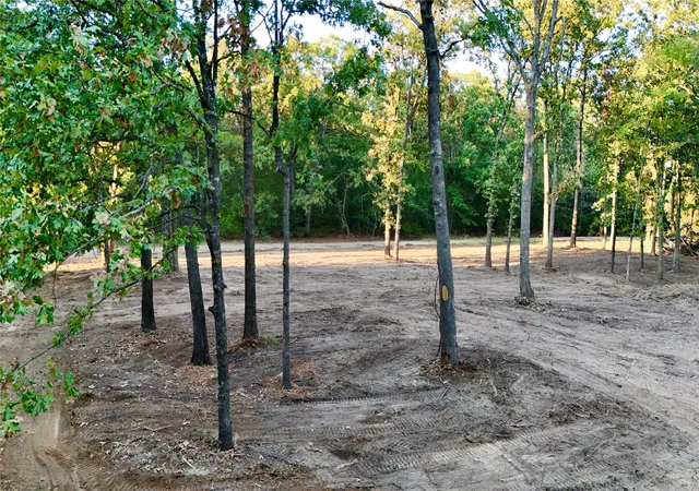 Photo 3 of Land for sale at Tbd Bluebonnet Trl, Mount Vernon, TX 75457 | MLS# 21382190 | Listing updated on 2026-09-12
