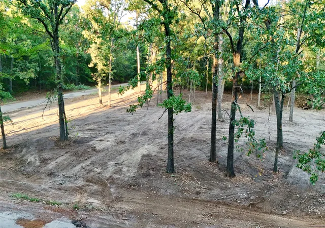 Photo 3 of Land for sale at Tbd Bluebonnet Trl, Mount Vernon, TX 75457 | MLS# 21382190 | Listing updated on 2026-09-12