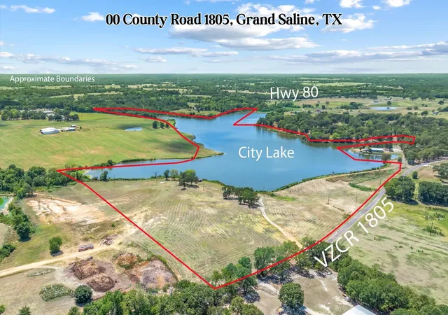 Land for sale at 00 Vz County Rd 1805, Grand Saline, TX 75140 | MLS# 21368450