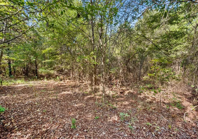 Photo 32 of Manufactured home for sale at 6723 County Rd 4837, Larue, TX 75770 | MLS# 21382254 | Listing updated on 2026-09-10