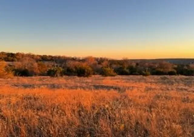 Photo 3 of Land for sale at 5715 A County Rd 465, Stephenville, TX 76401 | MLS# 21381814 | Listing updated on 2026-09-11