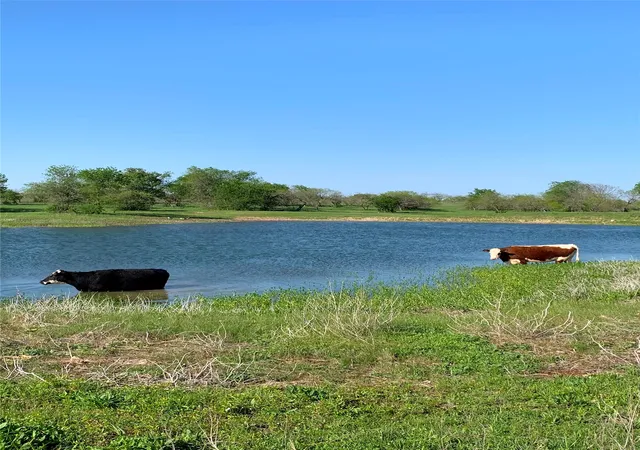 Photo 3 of Land for sale at 000 35 Ac Rattler Hl Rd, Mc Gregor, TX 76657 | MLS# 21367999 | Listing updated on 2026-09-10
