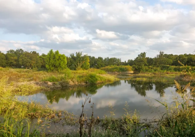 Photo 2 of Land for sale at 24+/  Ac Tbd Hwy 6, Valley Mills, TX 76689 | MLS# 21382565 | Listing updated on 2026-09-10