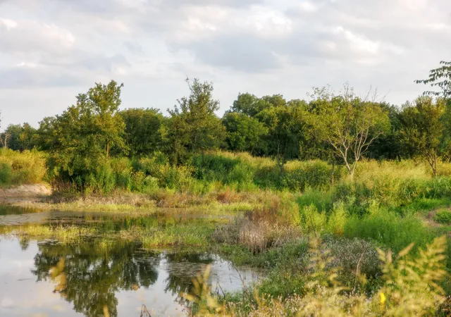 Photo 3 of Land for sale at 24+/  Ac Tbd Hwy 6, Valley Mills, TX 76689 | MLS# 21382565 | Listing updated on 2026-09-10