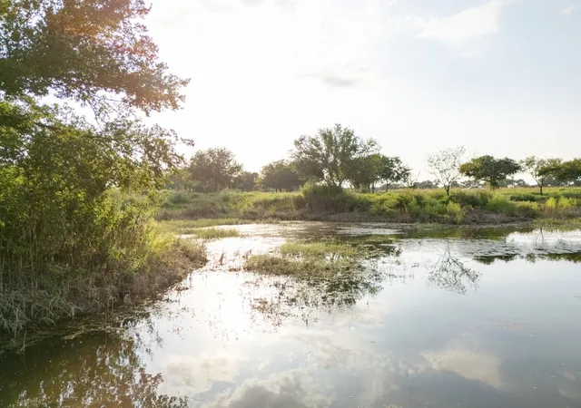 Photo 4 of Land for sale at 24+/- Ac Tbd Hwy 6, Valley Mills, TX 76689 | MLS# 21382565 | Listing updated on 2026-09-10
