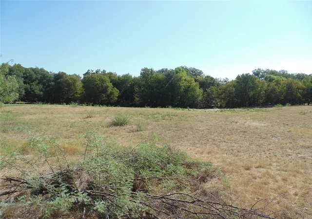 Photo 2 of Land for sale at 699 County Rd 260, Gustine, TX 76455 | MLS# 21380867 | Listing updated on 2026-09-10