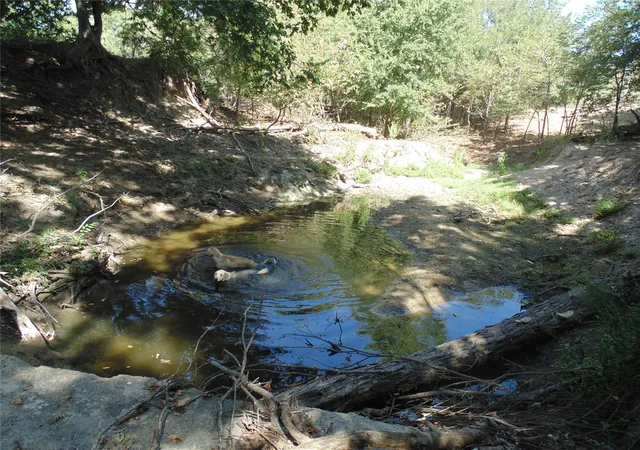 Photo 3 of Land for sale at 699 County Rd 260, Gustine, TX 76455 | MLS# 21380867 | Listing updated on 2026-09-10
