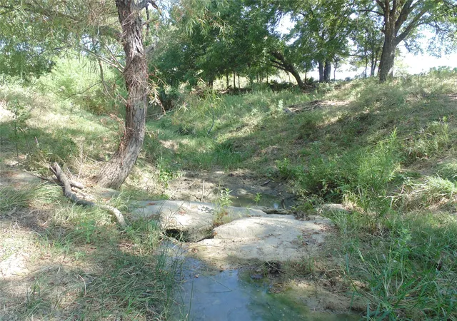 Photo 4 of House for sale at 699 County Rd 260, Gustine, TX 76455 | MLS# 21380867 | Listing updated on 2026-09-10