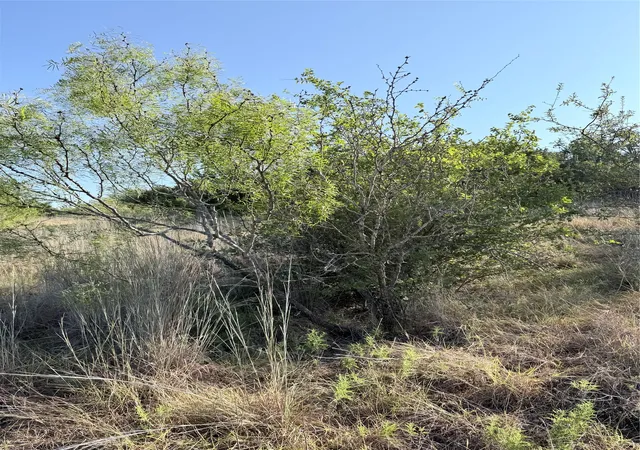 Photo 2 of Land for sale at Tbd Tract N25 Pr 2902, Hamilton, TX 76531 | MLS# 21382958 | Listing updated on 2026-09-11