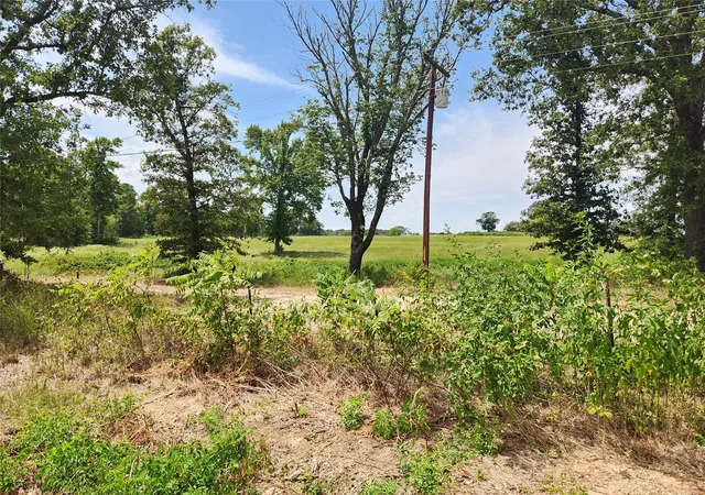 Photo 3 of Land for sale at Lot 23 Cr 3249, Mt Pleasant, TX 75455 | MLS# 21383014 | Listing updated on 2026-09-11