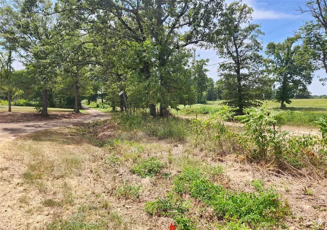 Photo 2 of Land for sale at Lot 24 Cr 3249, Mt Pleasant, TX 75455 | MLS# 21383019 | Listing updated on 2026-09-11