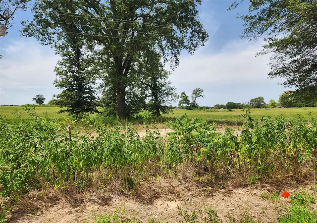 Photo 3 of Land for sale at Lot 24 Cr 3249, Mt Pleasant, TX 75455 | MLS# 21383019 | Listing updated on 2026-09-11