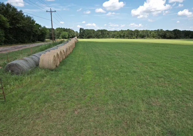 Photo 3 of Land for sale at Lot 3 Vz County Rd 3208, Wills Point, TX 75169 | MLS# 21383248 | Listing updated on 2026-09-11