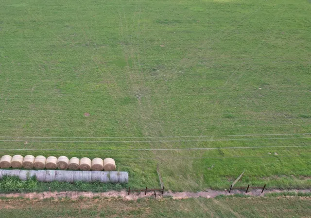 Photo 4 of Land for sale at Lot 3 Vz County Rd 3208, Wills Point, TX 75169 | MLS# 21383248 | Listing updated on 2026-09-11