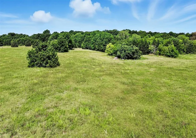 Photo 3 of Land for sale at 000 County Rd 487, Nevada, TX 75173 | MLS# 21383299 | Listing updated on 2026-09-14