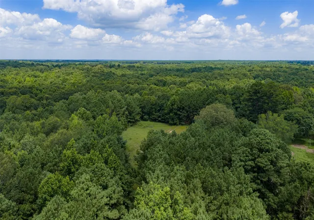 Photo 1 of Land for sale at 0 County Rd 3154, De Berry, TX 75639 | MLS# 21383464 | Listing updated on 2026-09-11