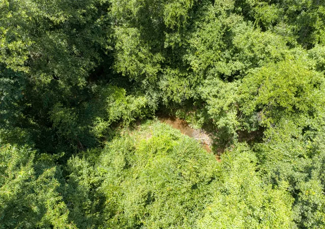Photo 2 of Land for sale at 0 County Rd 3154, De Berry, TX 75639 | MLS# 21383464 | Listing updated on 2026-09-11