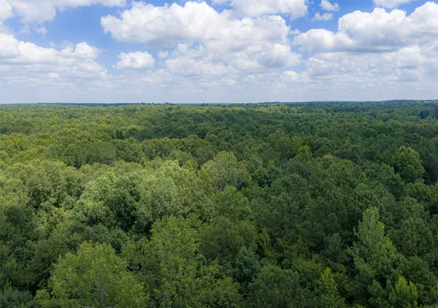 Photo 3 of Land for sale at 0 County Rd 3154, De Berry, TX 75639 | MLS# 21383464 | Listing updated on 2026-09-11