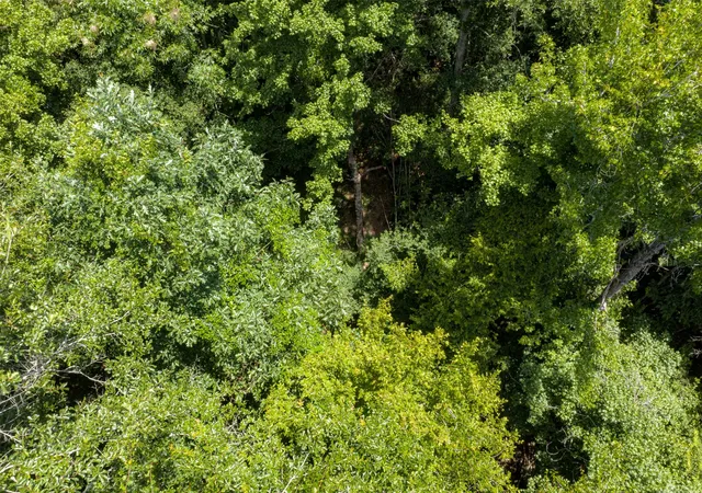 Photo 4 of Land for sale at 0 County Rd 3154, De Berry, TX 75639 | MLS# 21383464 | Listing updated on 2026-09-11