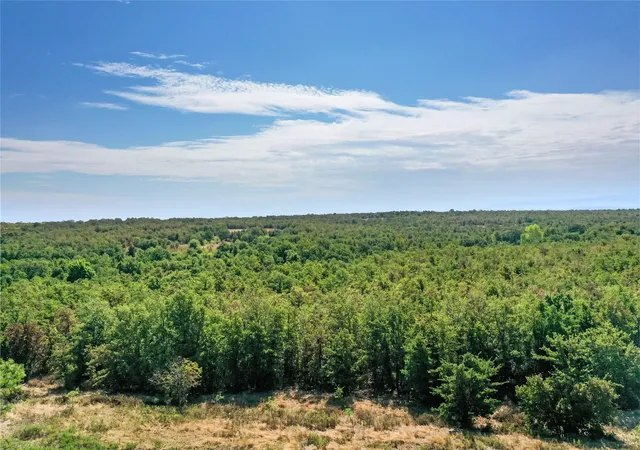 Photo 2 of Land for sale at Tbd Two Bush Rd, Perrin, TX 76486 | MLS# 21383364 | Listing updated on 2026-09-11