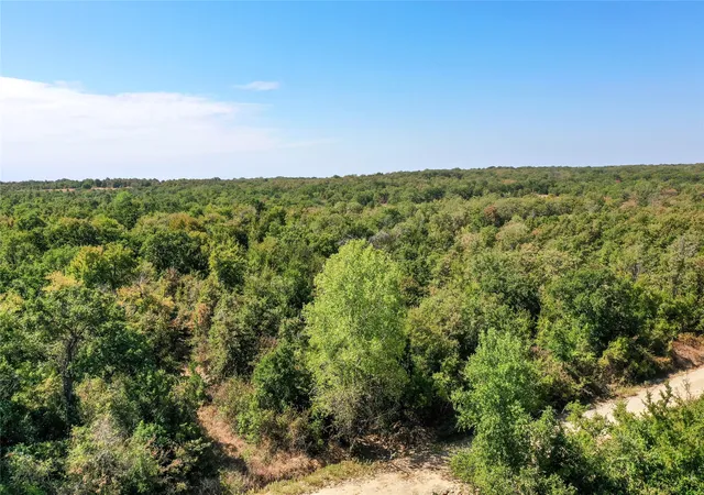 Photo 4 of House for sale at Tbd Two Bush Rd, Perrin, TX 76486 | MLS# 21383364 | Listing updated on 2026-09-11