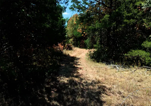 Photo 4 of Sale Pending at 2460 County Rd 1220, Savoy, TX 75479 | MLS# 21383374 | Listing updated on 2026-09-22