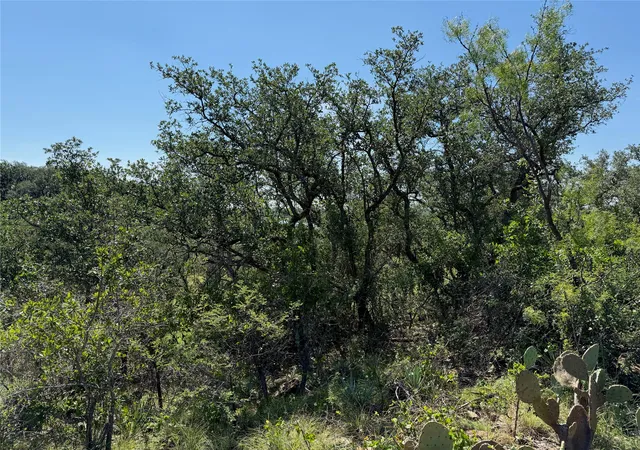 Photo 4 of Land for sale at 240 Feather Bay Dr, Brownwood, TX 76801 | MLS# 21310977 | Listing updated on 2026-09-11