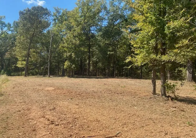 Photo 3 of Land for sale at Lot N 7r-1 Private Rd 52416, Leesburg, TX 75451 | MLS# 21383965 | Listing updated on 2026-09-11