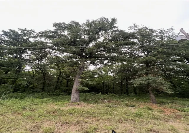 Photo 1 of Land for sale at 115 Inca Trl, Mabank, TX 75156 | MLS# 21383974 | Listing updated on 2026-09-15