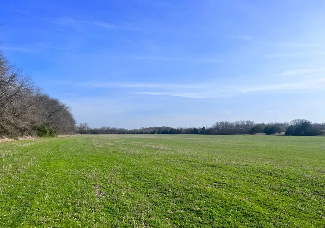 Photo 2 of Land for sale at Tbd County Rd 660, Farmersville, TX 75442 | MLS# 21364393 | Listing updated on 2026-09-15