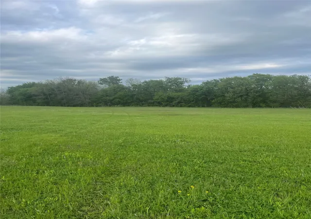 Photo 3 of Land for sale at Tbd County Rd 660, Farmersville, TX 75442 | MLS# 21364393 | Listing updated on 2026-09-15