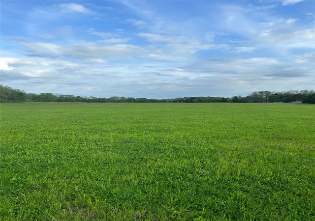 Photo 3 of Land for sale at Tbd County Rd 660, Farmersville, TX 75442 | MLS# 21364393 | Listing updated on 2026-09-15