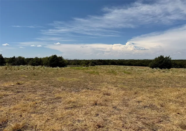Photo 2 of Land for sale at Tbd Lone Tree St, Nevada, TX 75173 | MLS# 21382908 | Listing updated on 2026-09-12